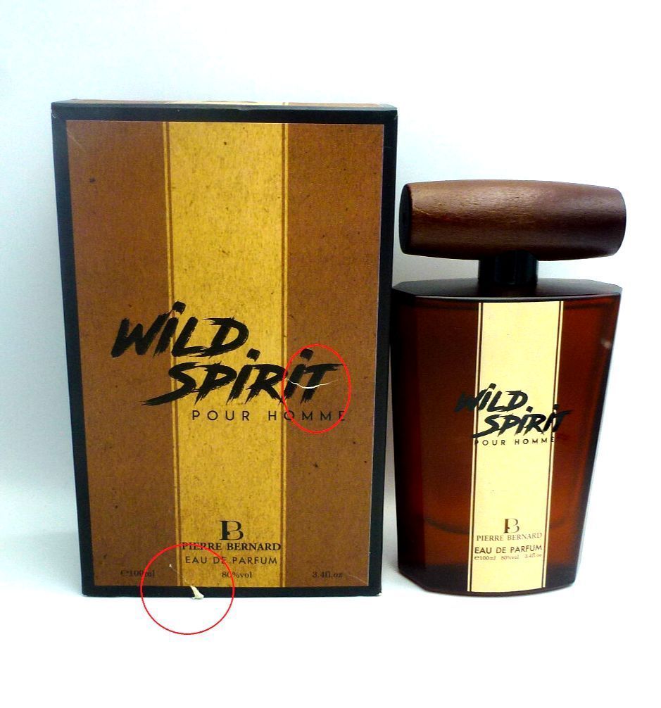 WILD SPIRIT pour Homme by Pierre Bernard - Eau de Parfum 100 ml (Vintage)